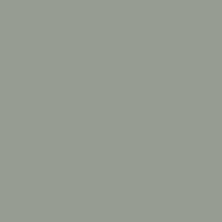 A photo of Acacia Haze SW 9132 paint color.