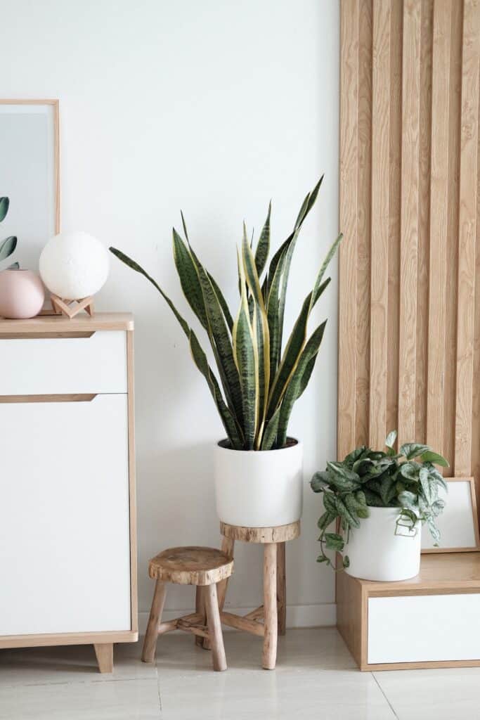 The scandinavian or Scandi interior design type is very popular righ tnow. You'll find minimalist concepts with a cozy and comfortable vibe using almost all-white color schemes and light wood furniture. Natural light and houseplants are important in the Scandi style.