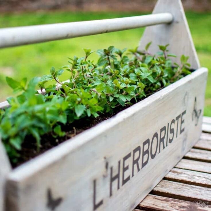 Image for Toolbox to Planter