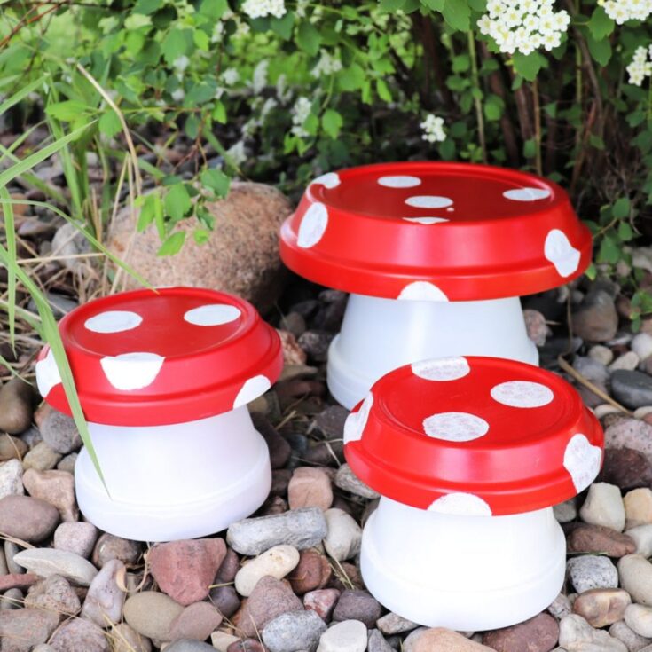 Image for Mushrooms from Clay Pots