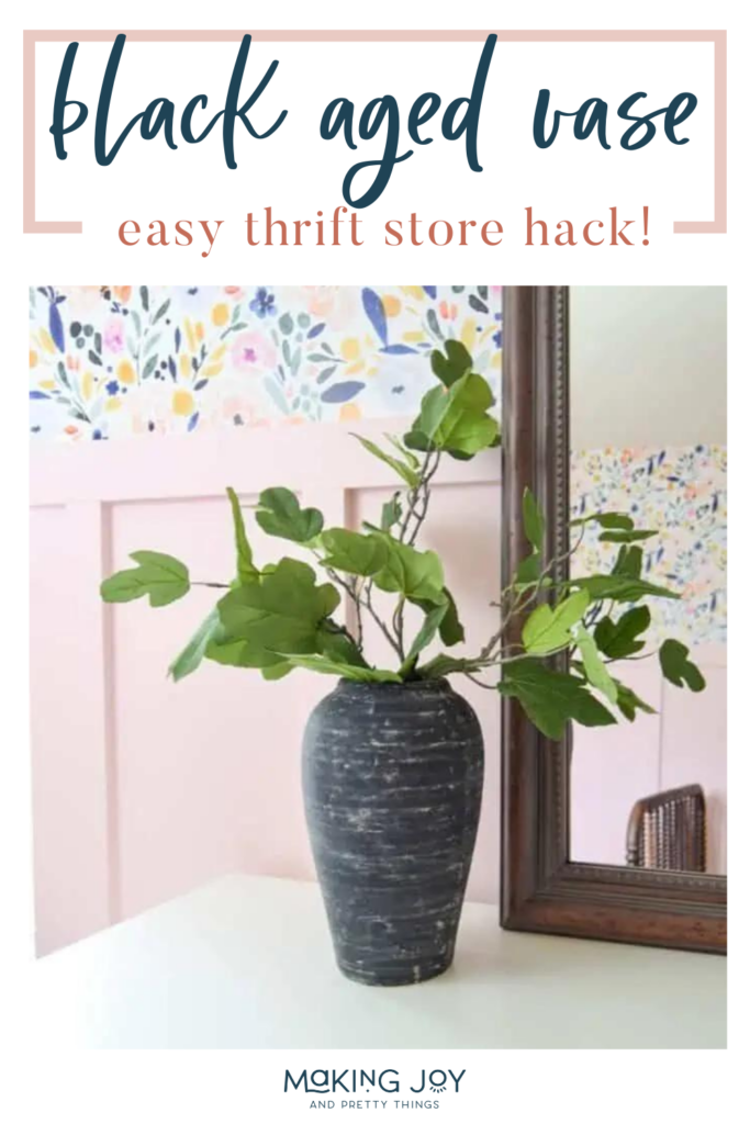 An image showcasing an adorable vase paired with a lovely plant. With text overlays sating "black aged vase easy thrift store hack!".